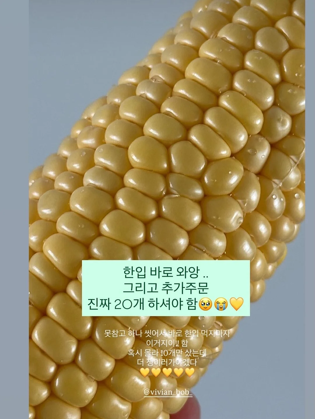 다이어트 강의 13