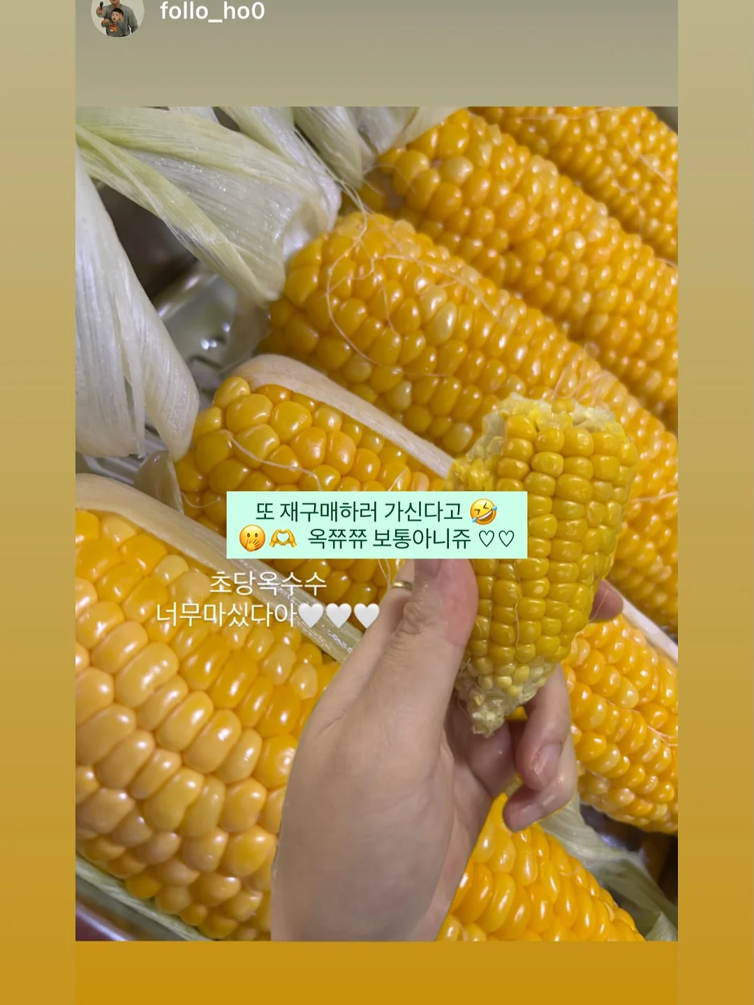 다이어트 강의 15