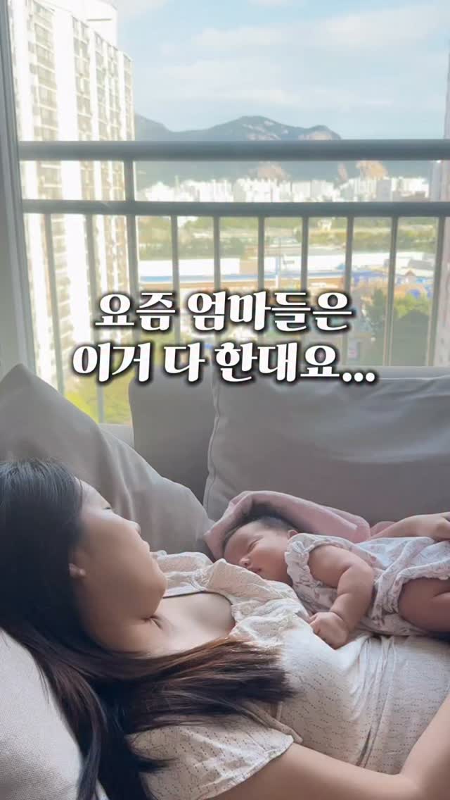 탑클래스 도그독