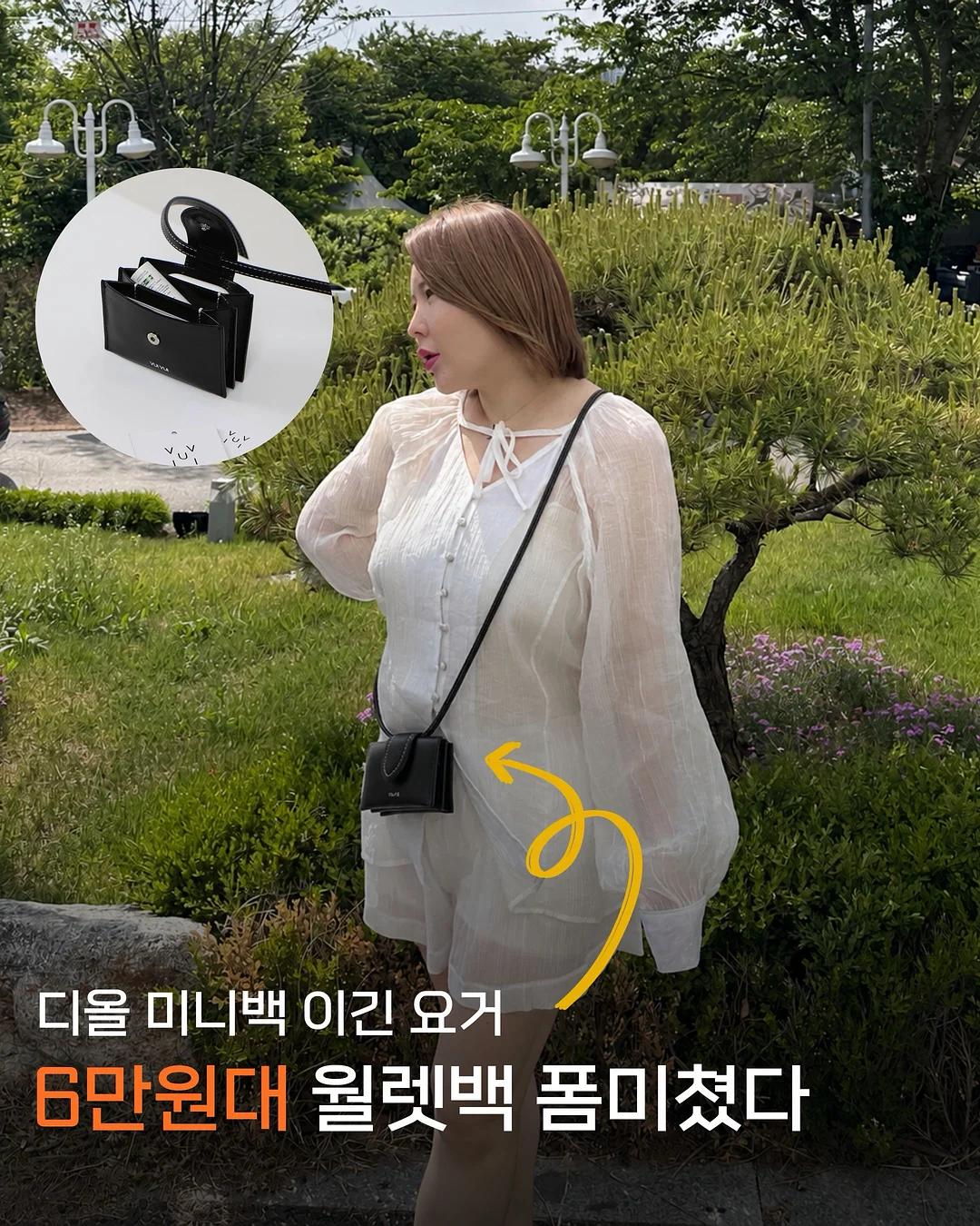 단톤 셋업 5