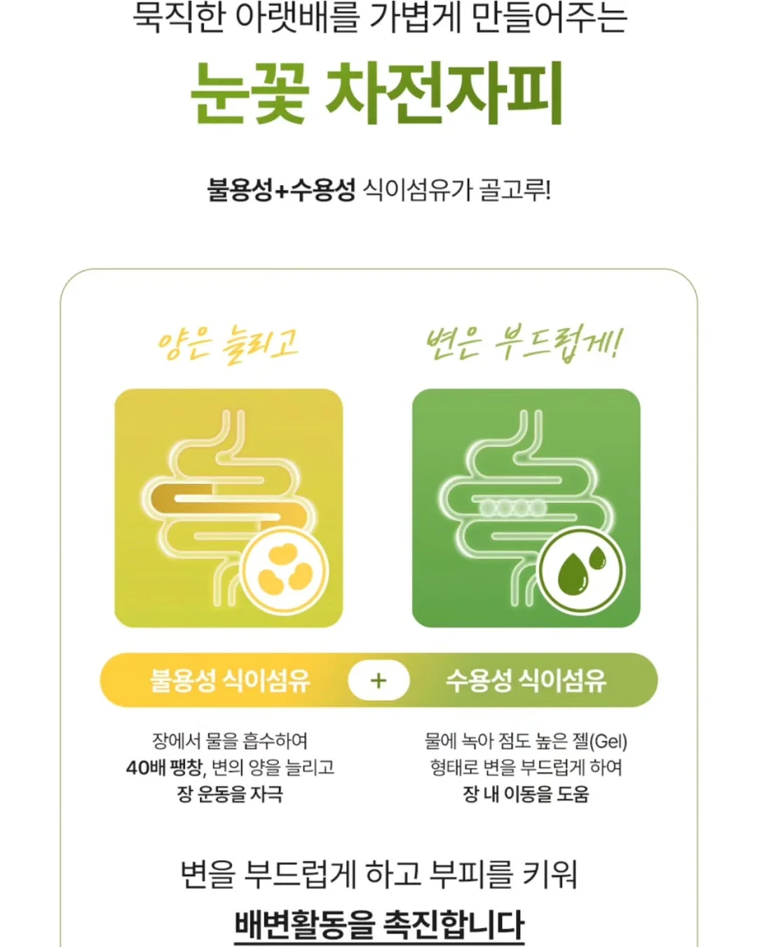 푸꾸옥 빈펄 사파리 11
