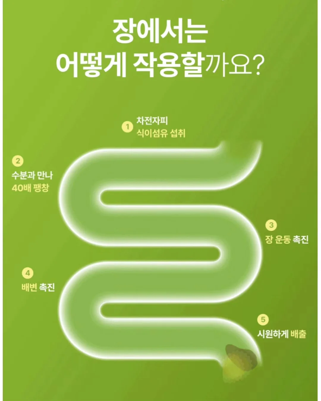 푸꾸옥 빈펄 사파리 12