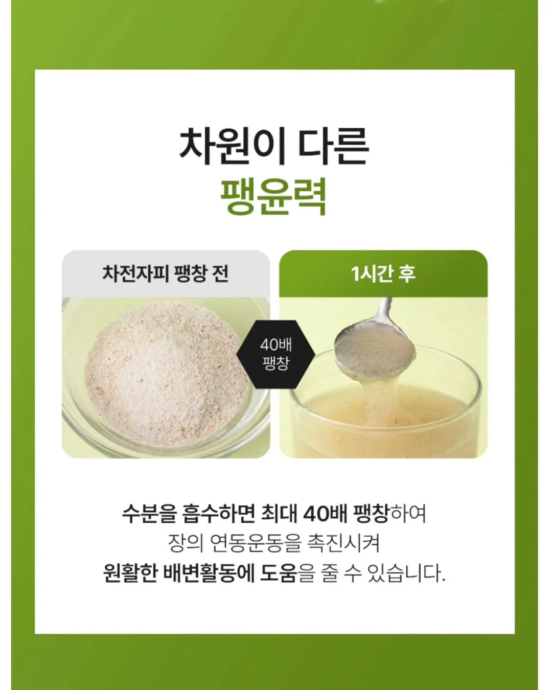 푸꾸옥 빈펄 사파리 13