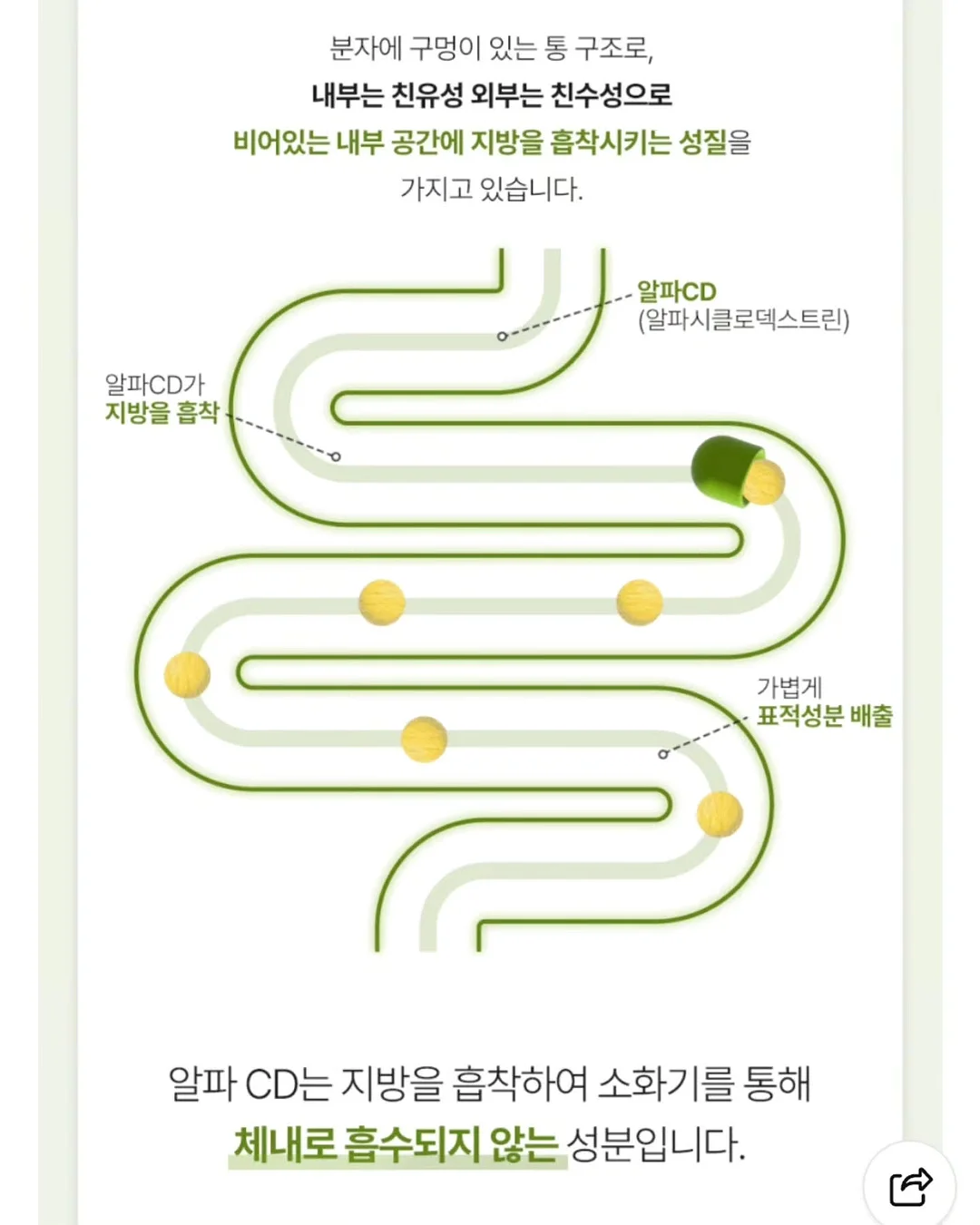 푸꾸옥 빈펄 사파리 16