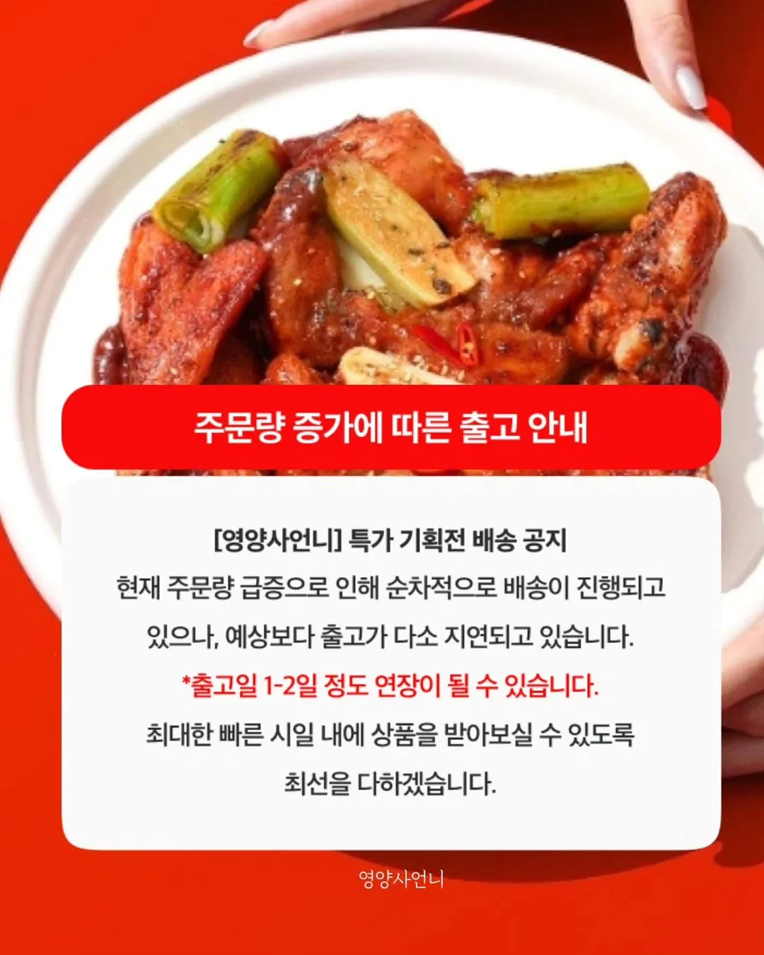 코코언니 가방 2