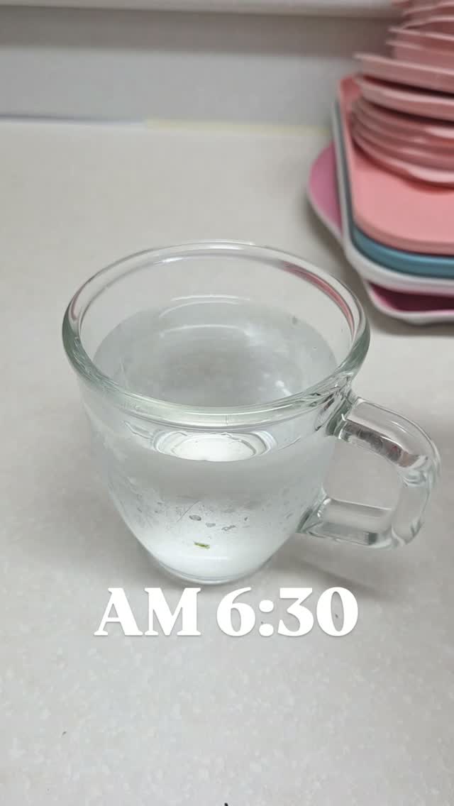모스그레이 시스루 셔츠