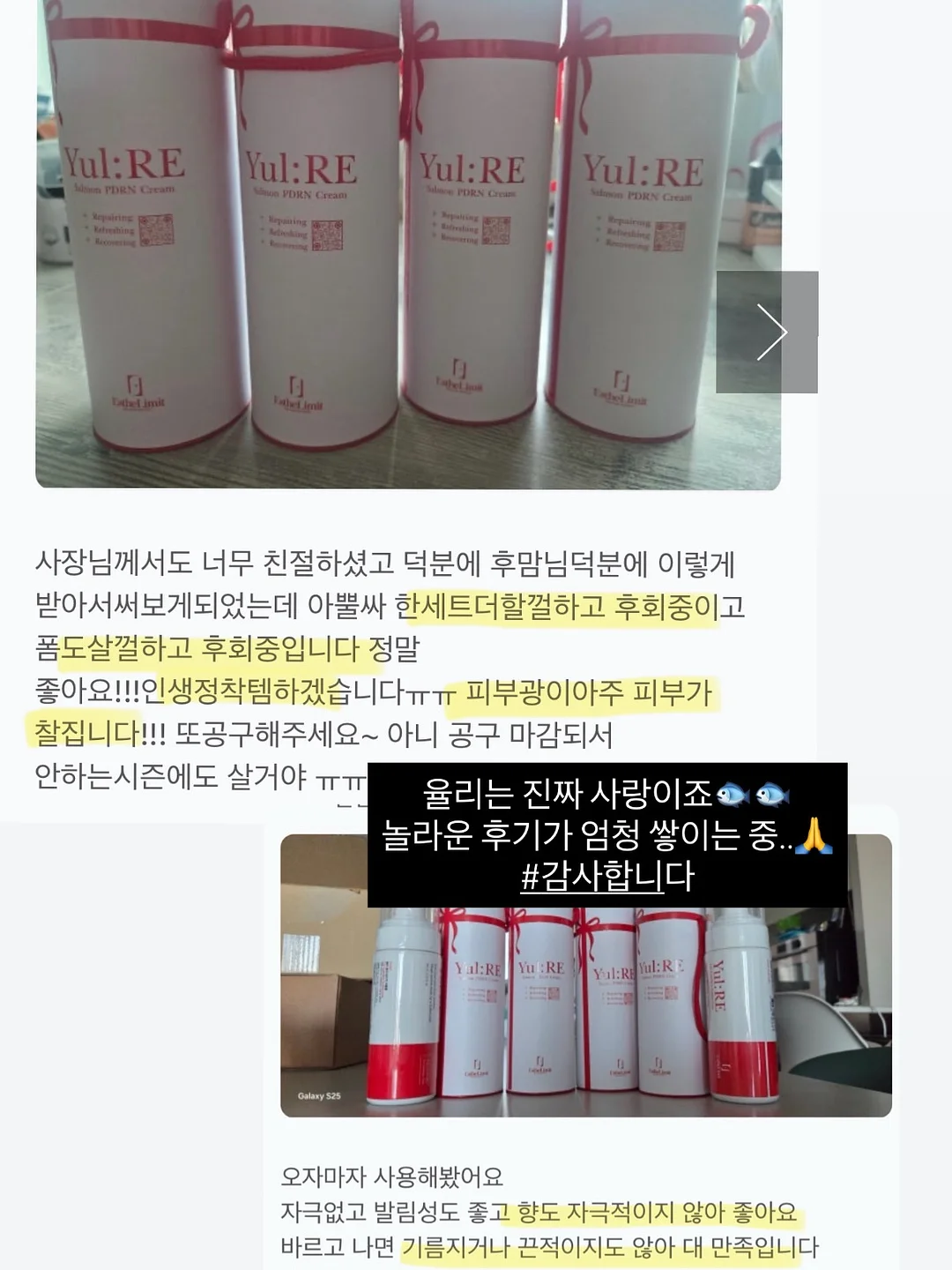 명란젓 16