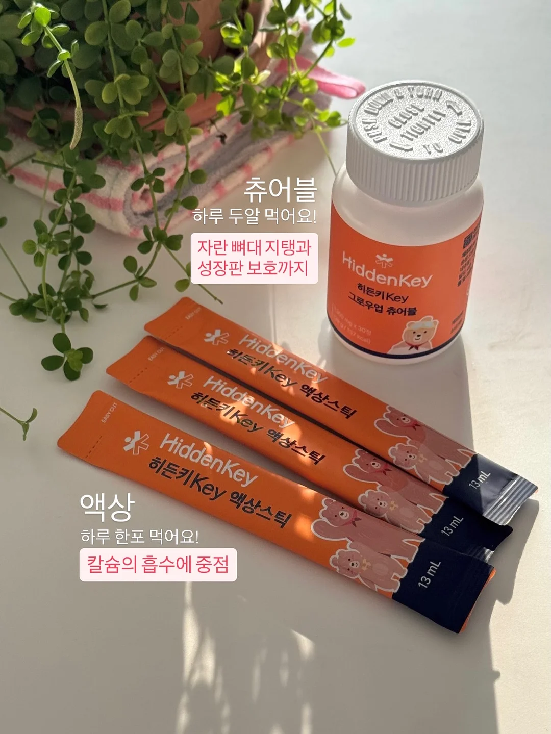 아오스타 여름 신상 5