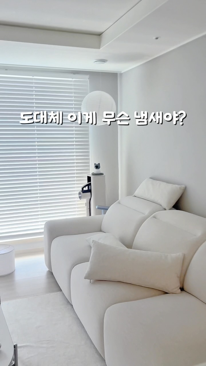 정복활동
