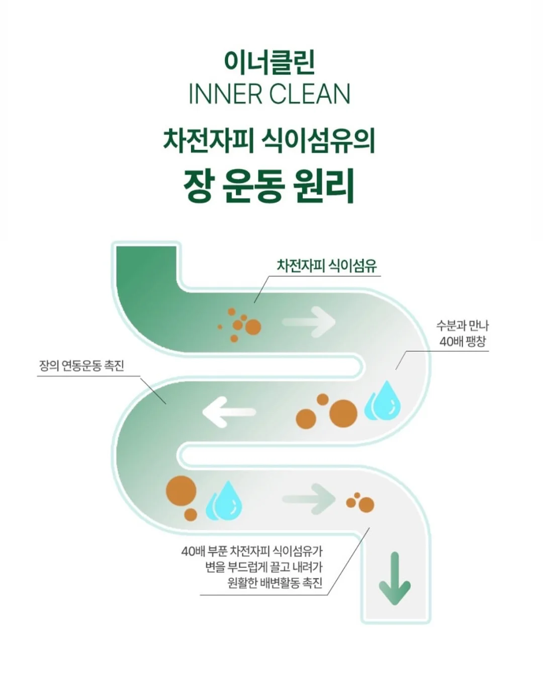 이달의아트 13
