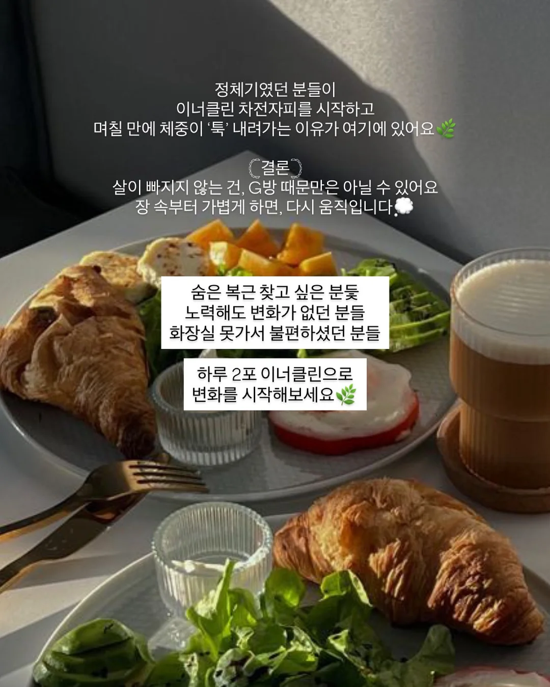 이달의아트 19