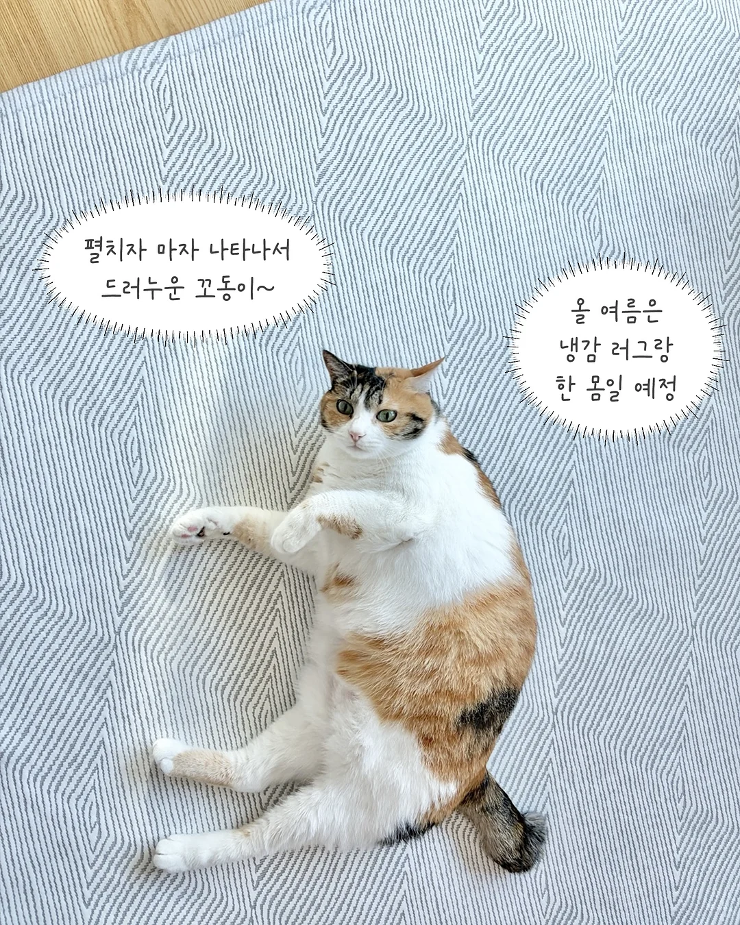 주니어 빈티지 셋업 12
