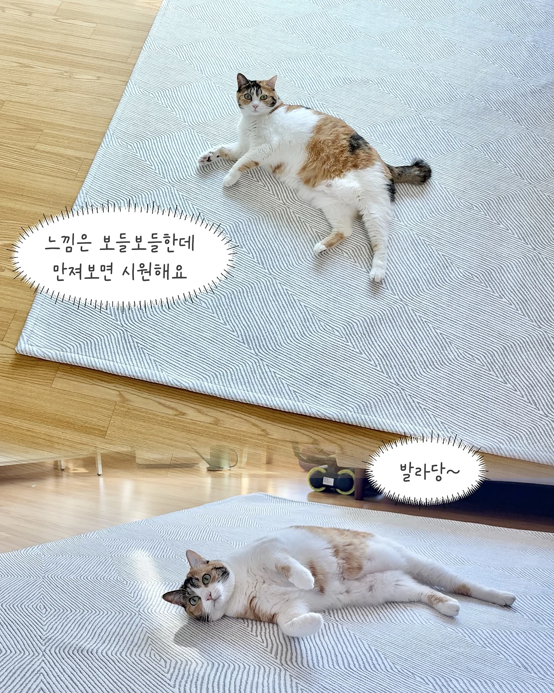 주니어 빈티지 셋업 13