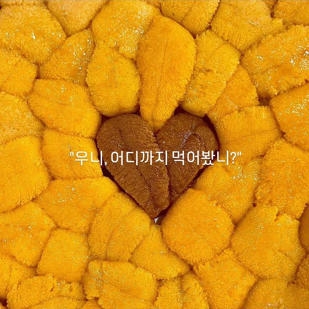 텐셜모달 원단 실내복 2