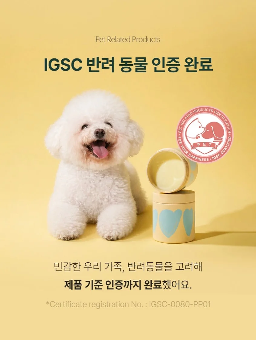 독끝 NCS 프리패스 13
