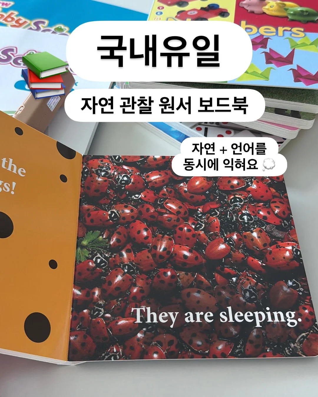 뻥튀기 기계 12