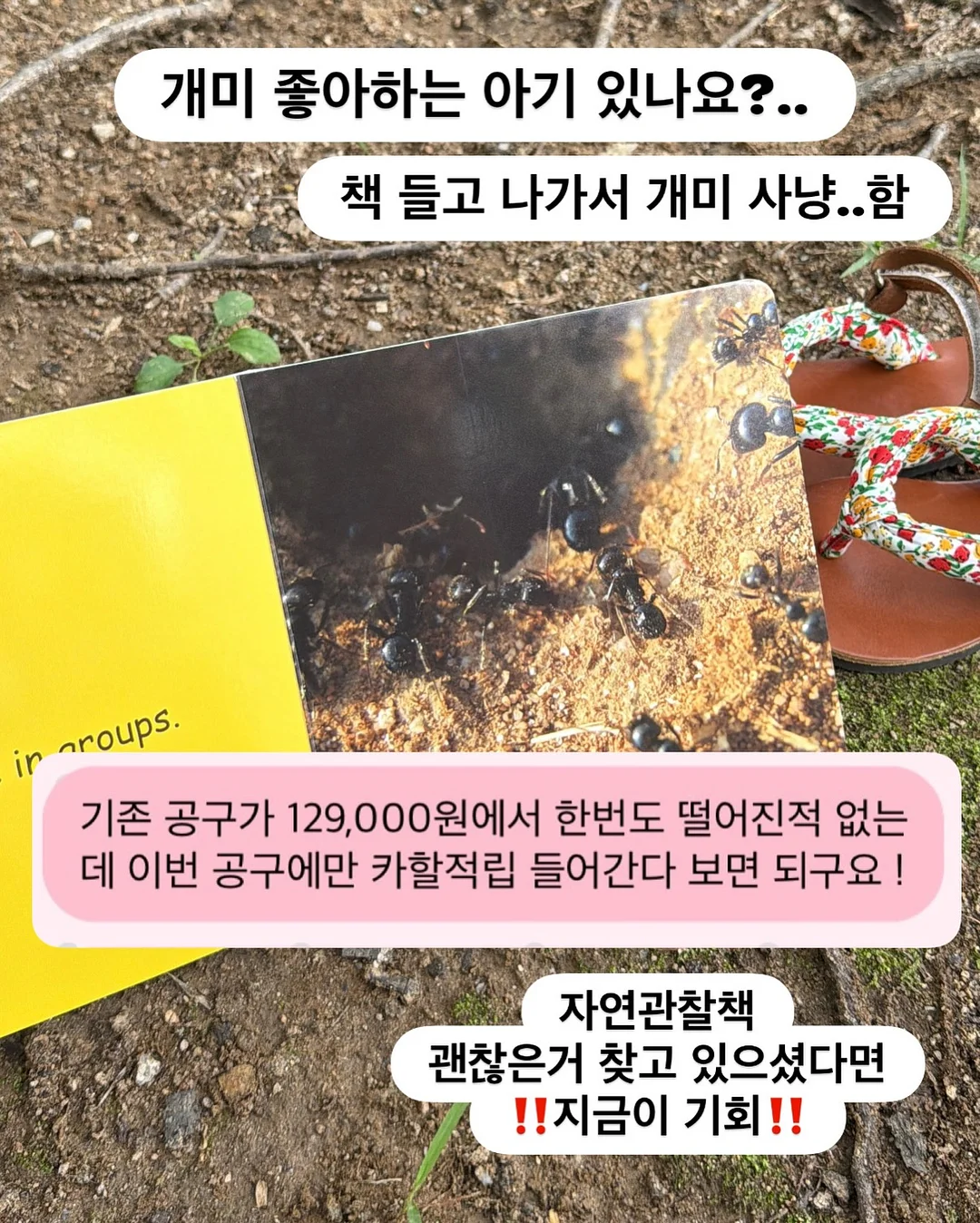 뻥튀기 기계 7
