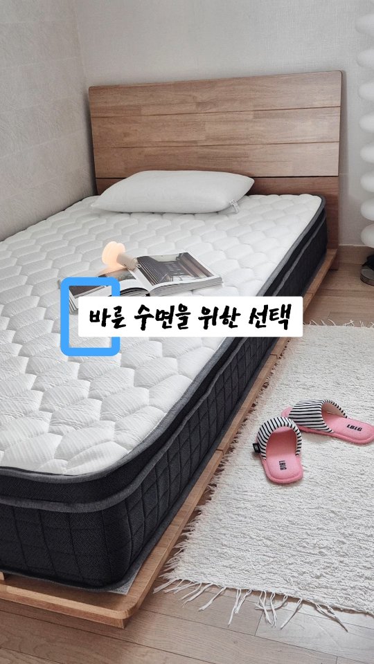대형 과일 분할기
