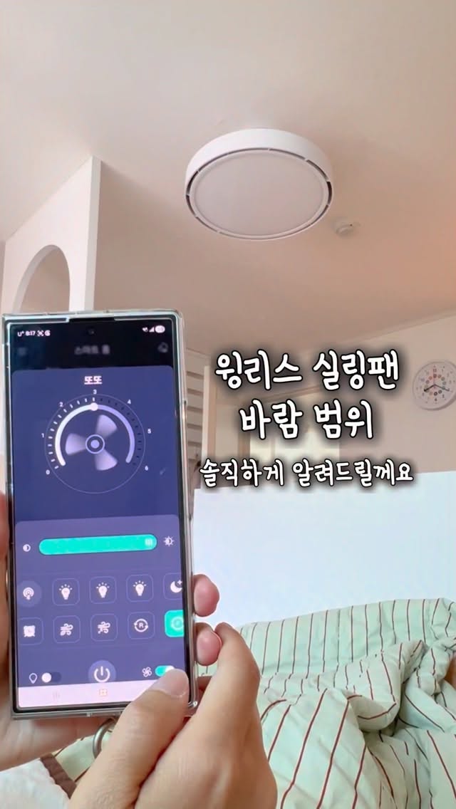 니트키스 니트