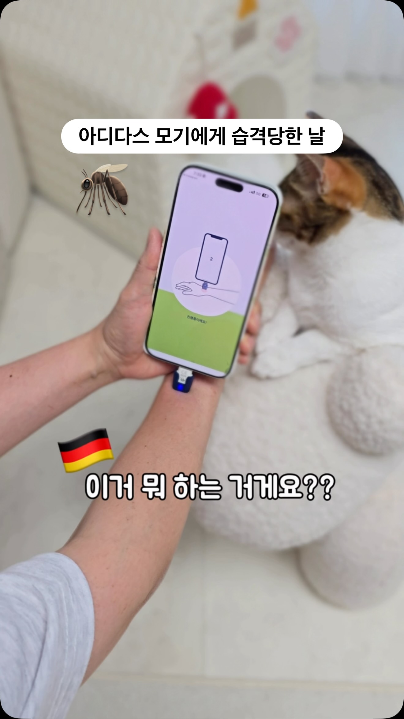주니올스텐스푼포크 프로