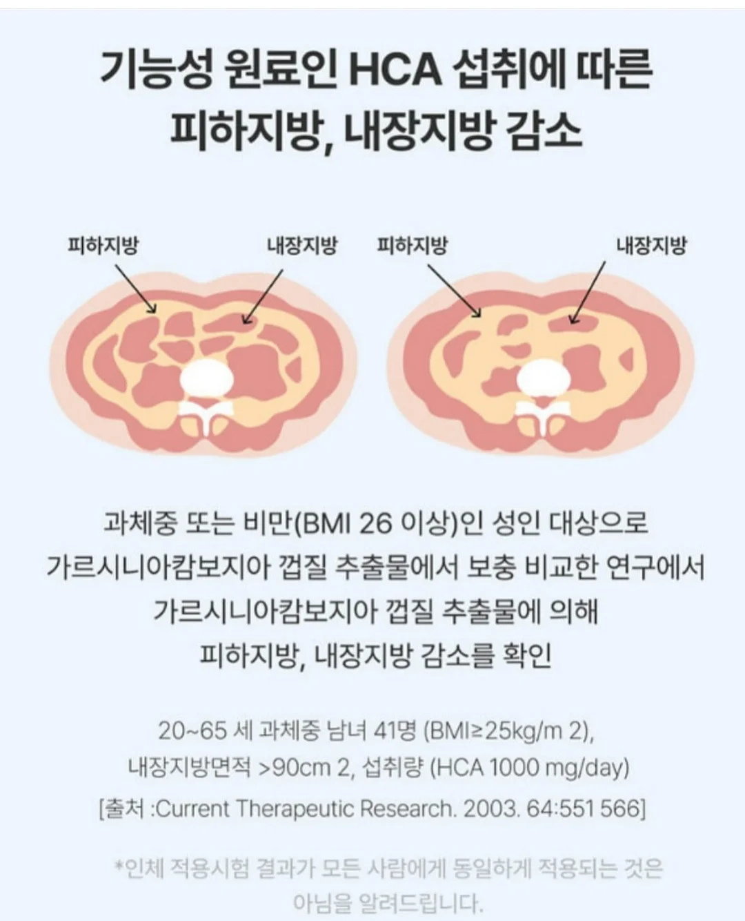 비쵸비 말차쇼콜라맛 6