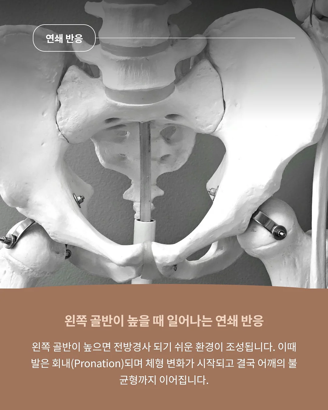 브랜드 기준 설계 클래스 5