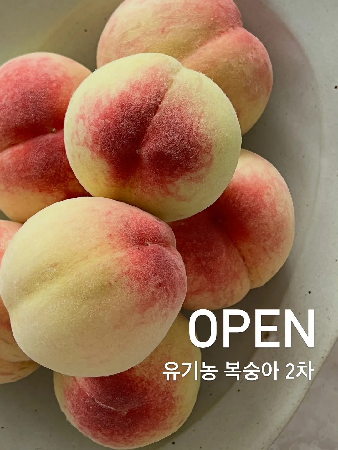 포카앤빌리 반려동물 고체 탈취제 1