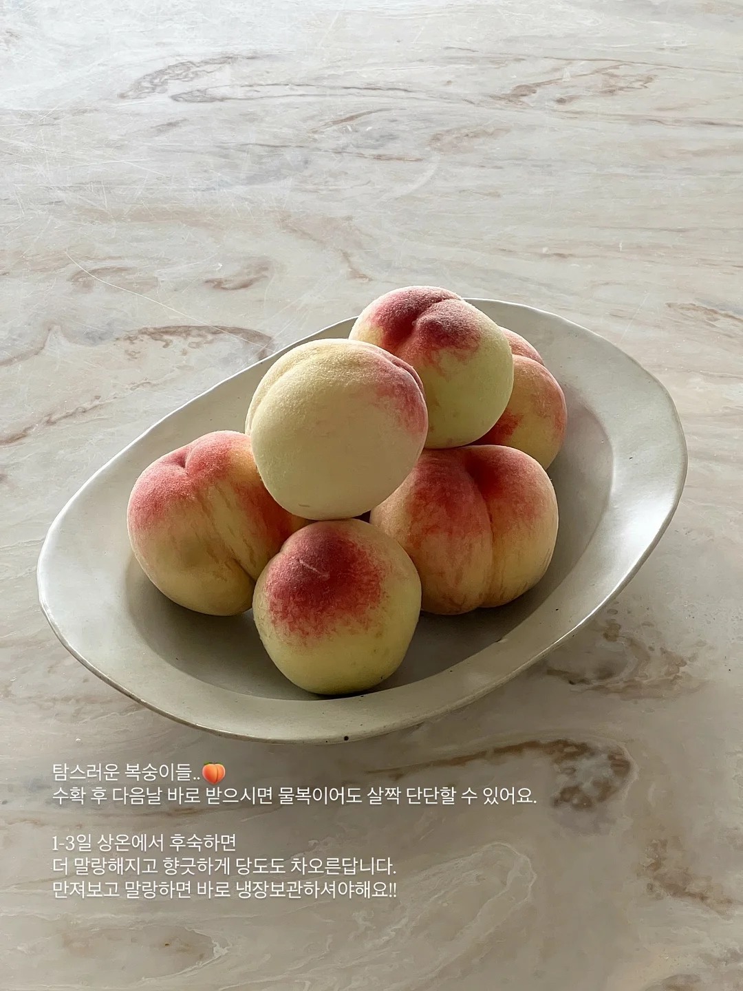 포카앤빌리 반려동물 고체 탈취제 3