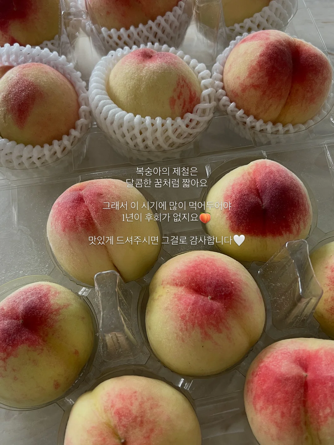 포카앤빌리 반려동물 고체 탈취제 7