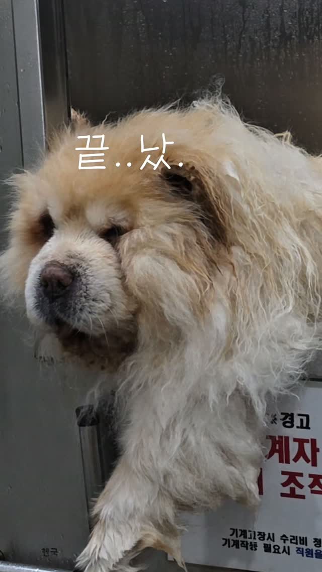 하도리움 풀빌라펜션
