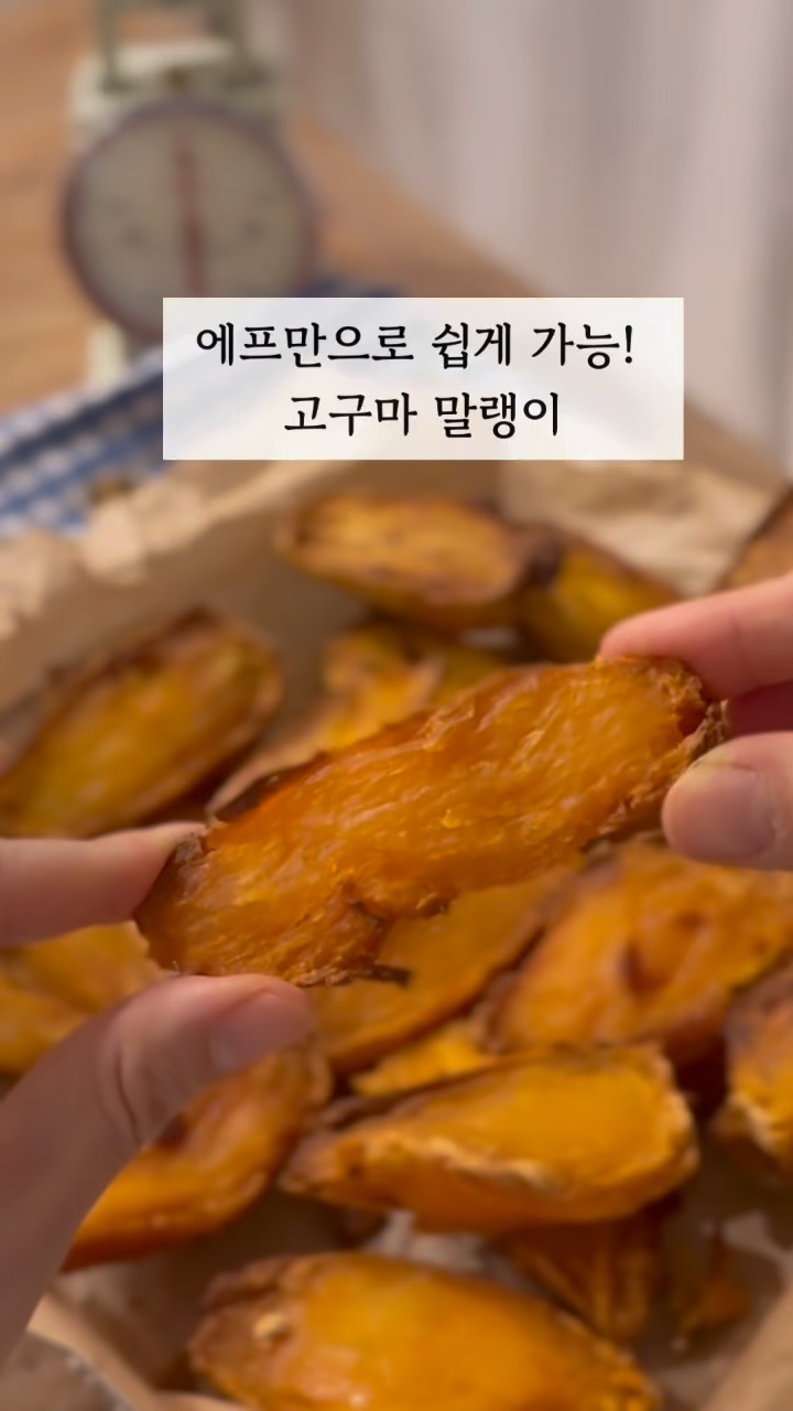 햄스터 스퀴시 만들기 키트