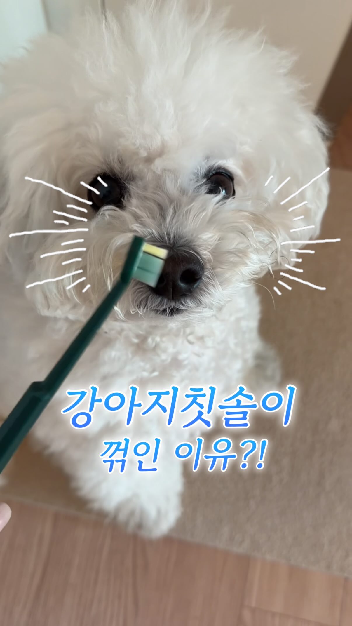 비과세 연금 상담