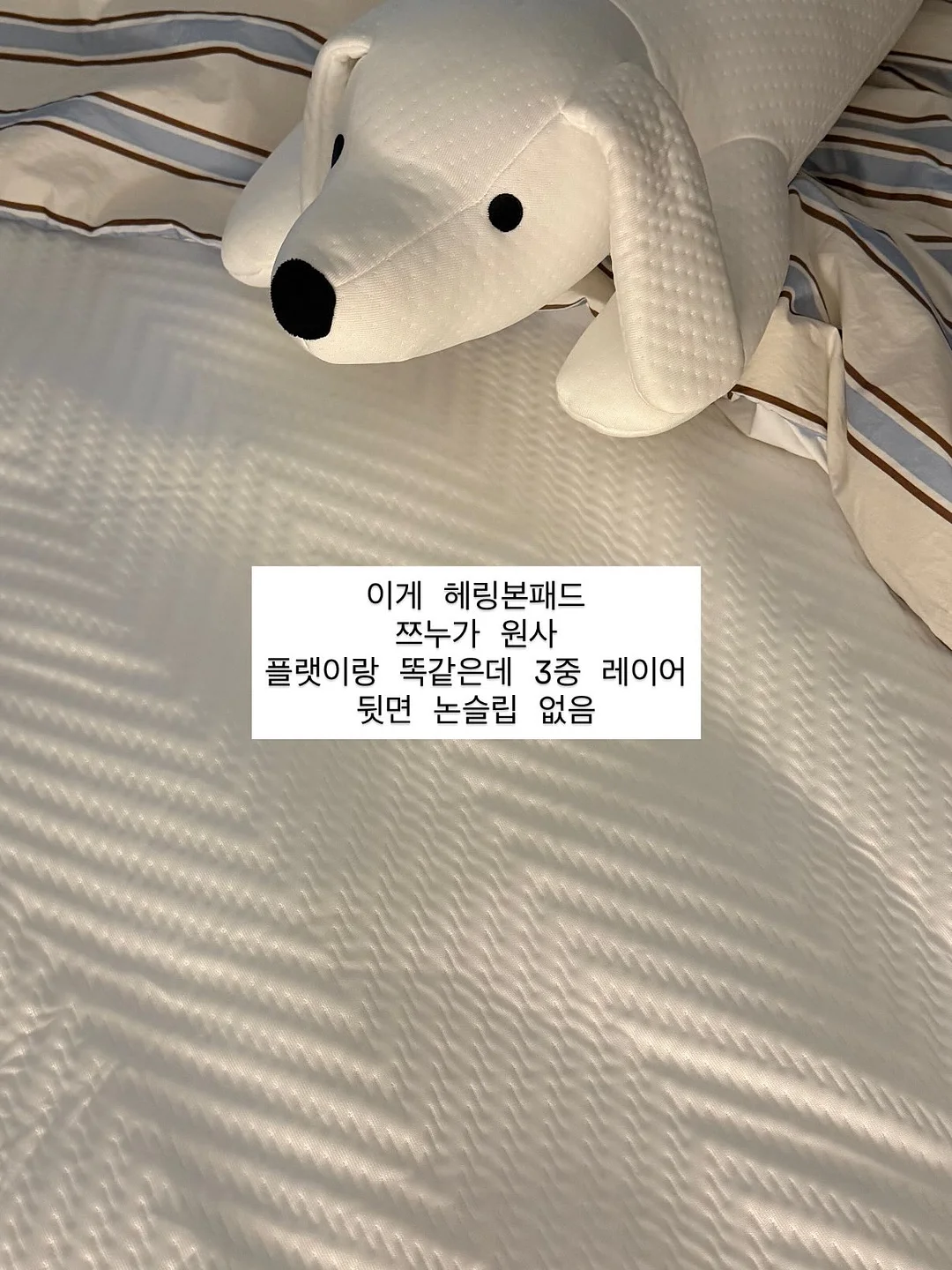 에어바운스 물놀이 캠프닉 4
