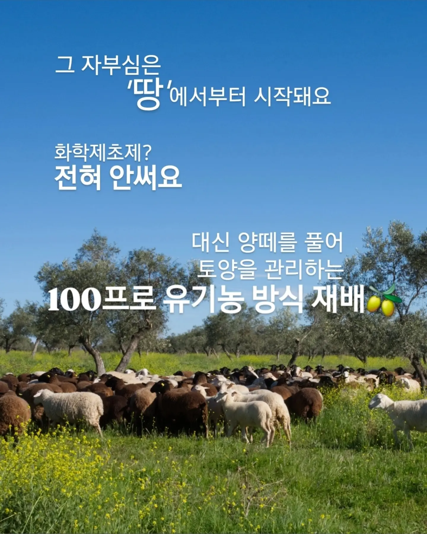 코드그라피 티셔츠 4