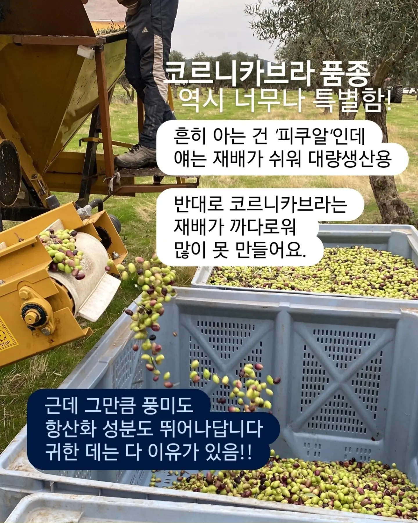코드그라피 티셔츠 6