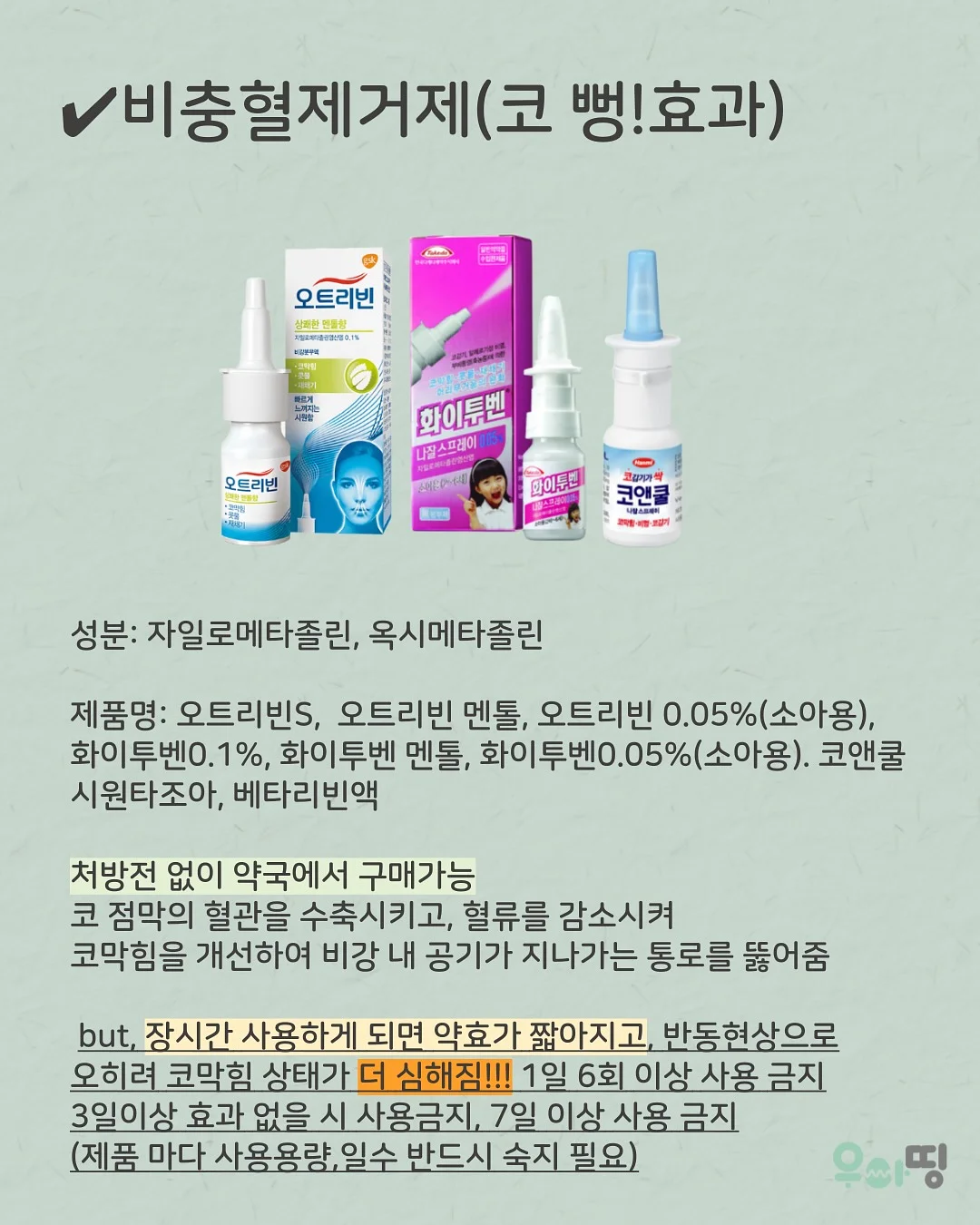 스네프 수영용품 2