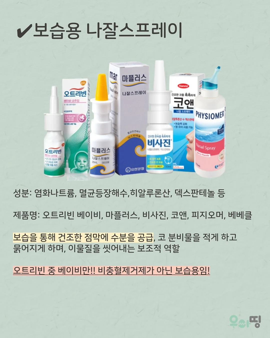 스네프 수영용품 4