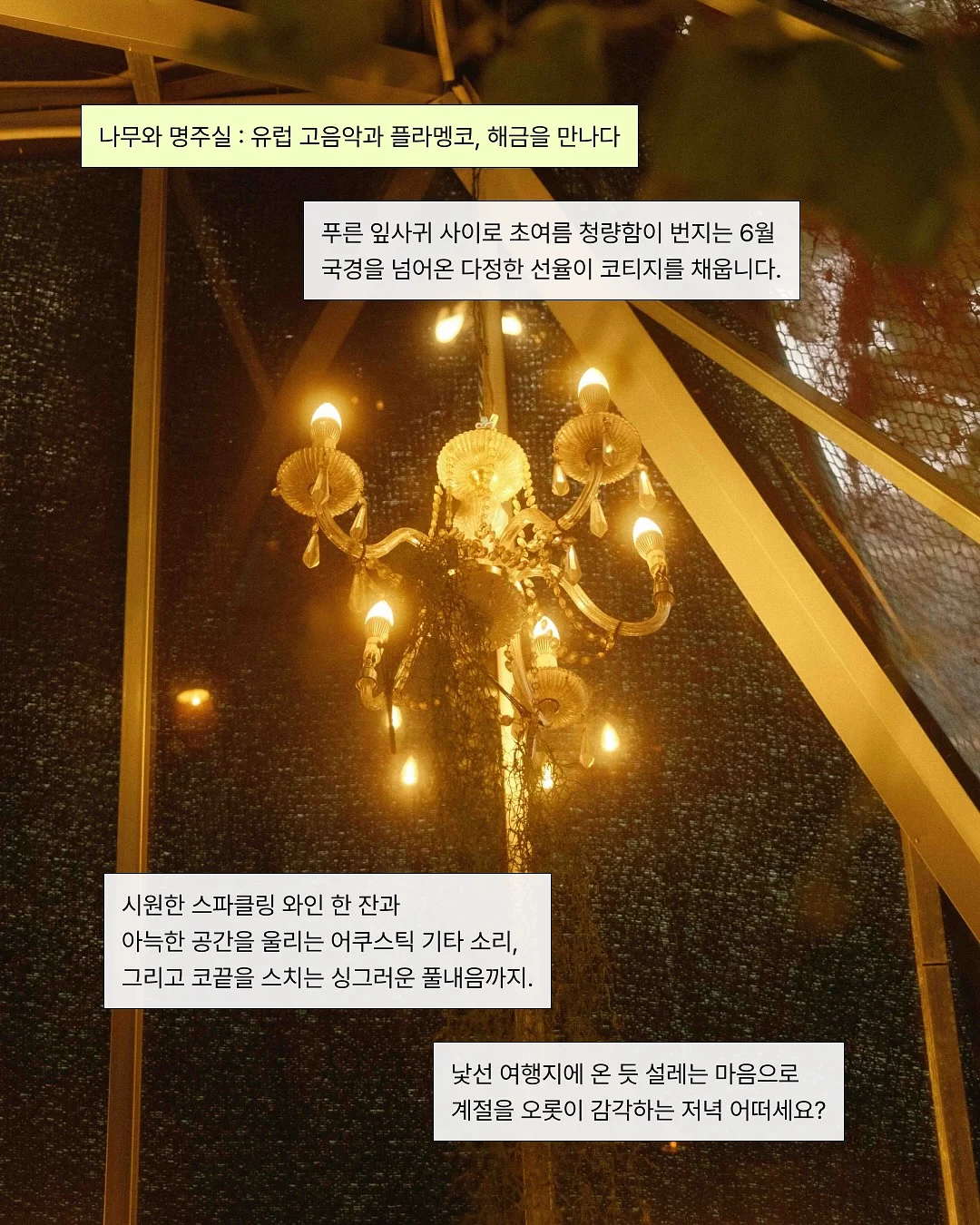오이코스 밴딩 베개커버 2