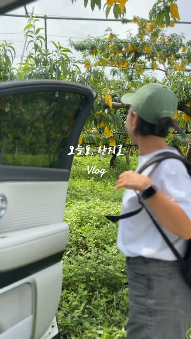 고급스러운 츄리닝 셋업