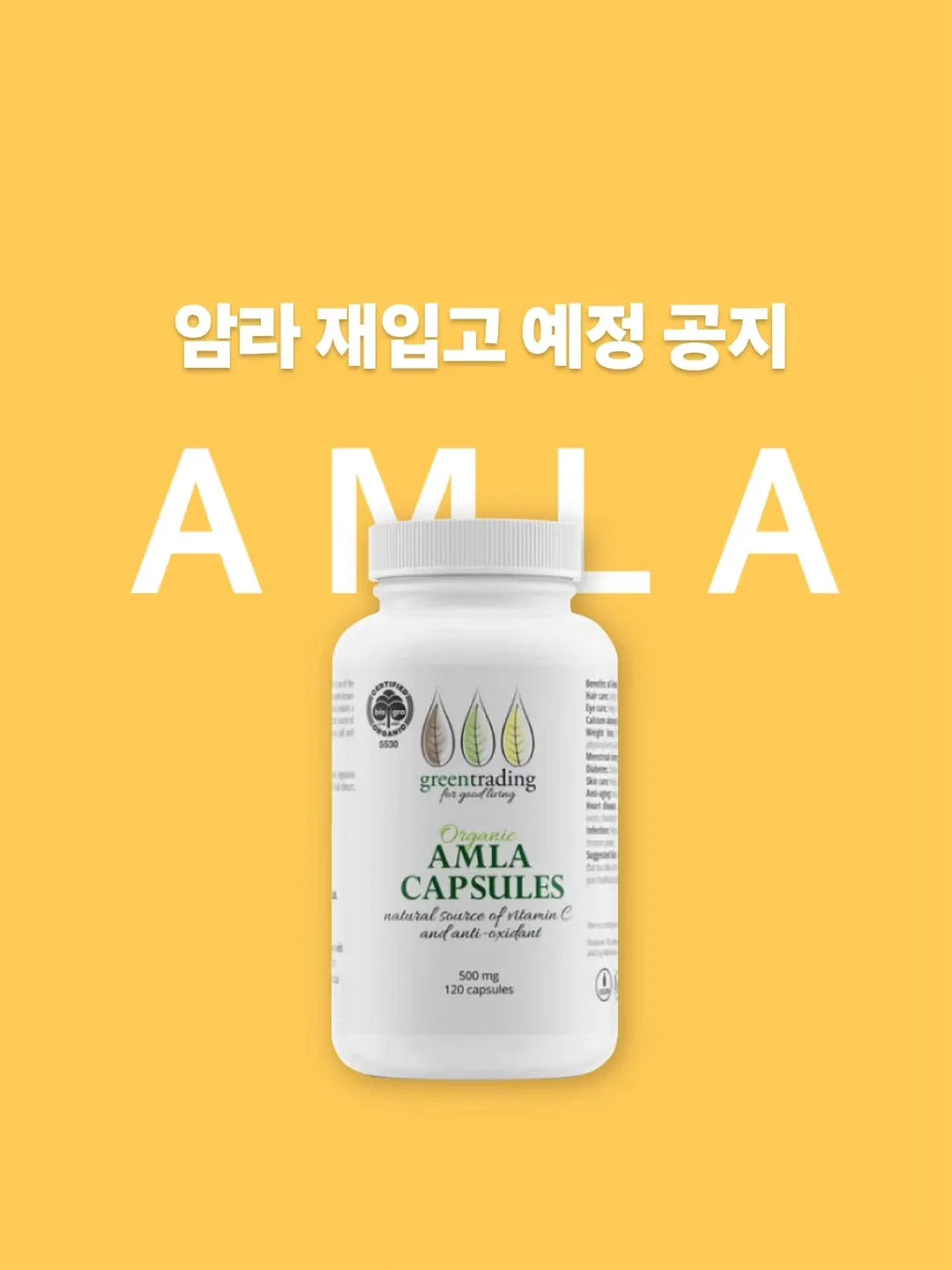 토리 체크셔츠 1