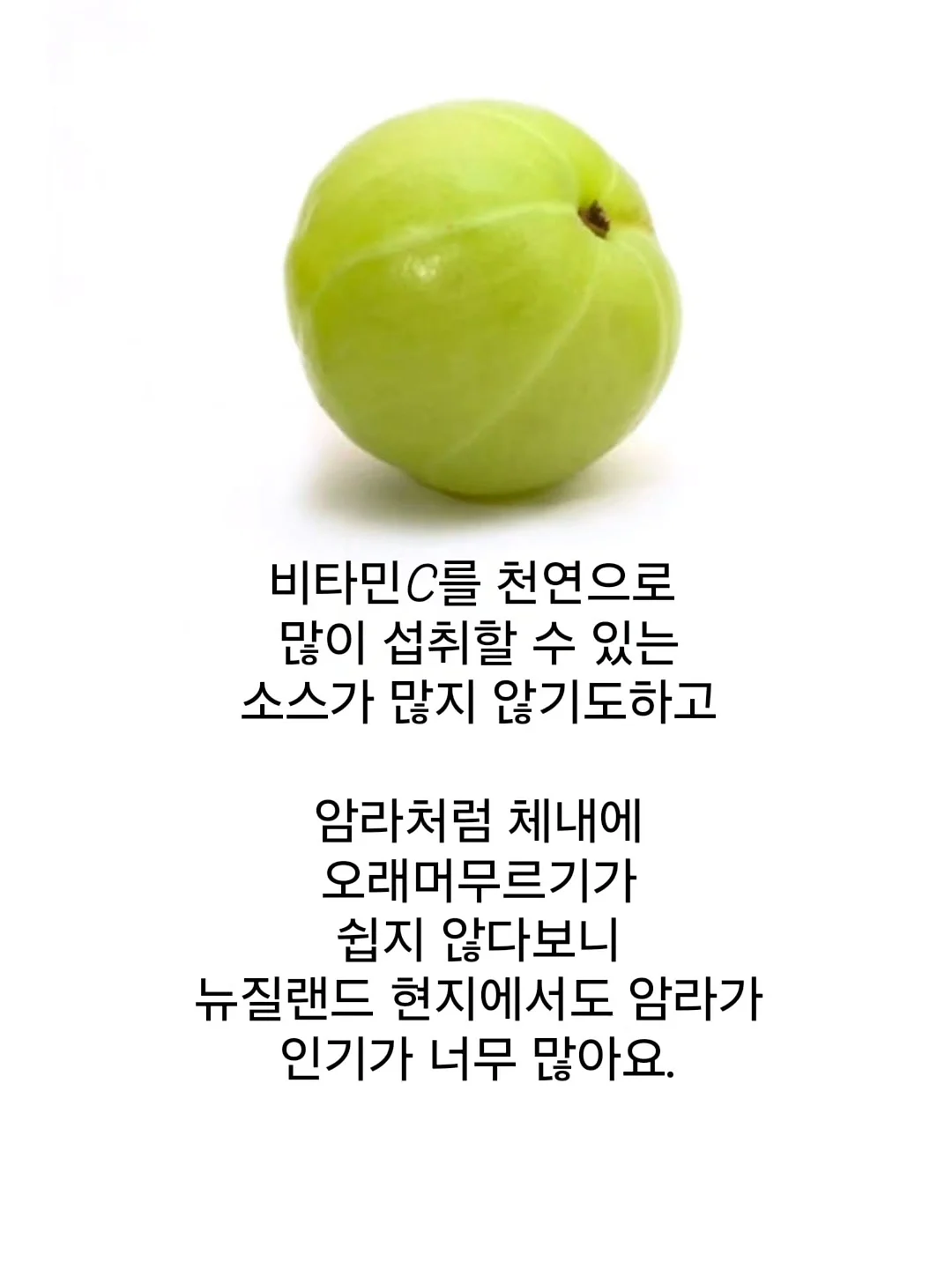토리 체크셔츠 3
