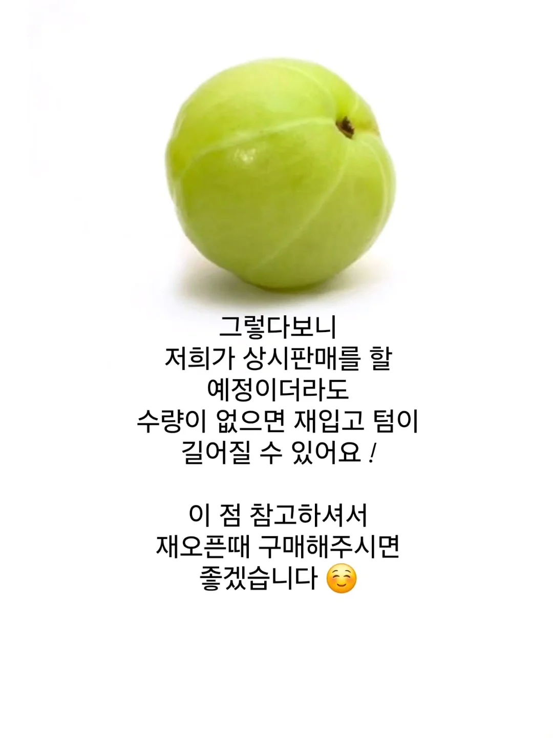 토리 체크셔츠 4