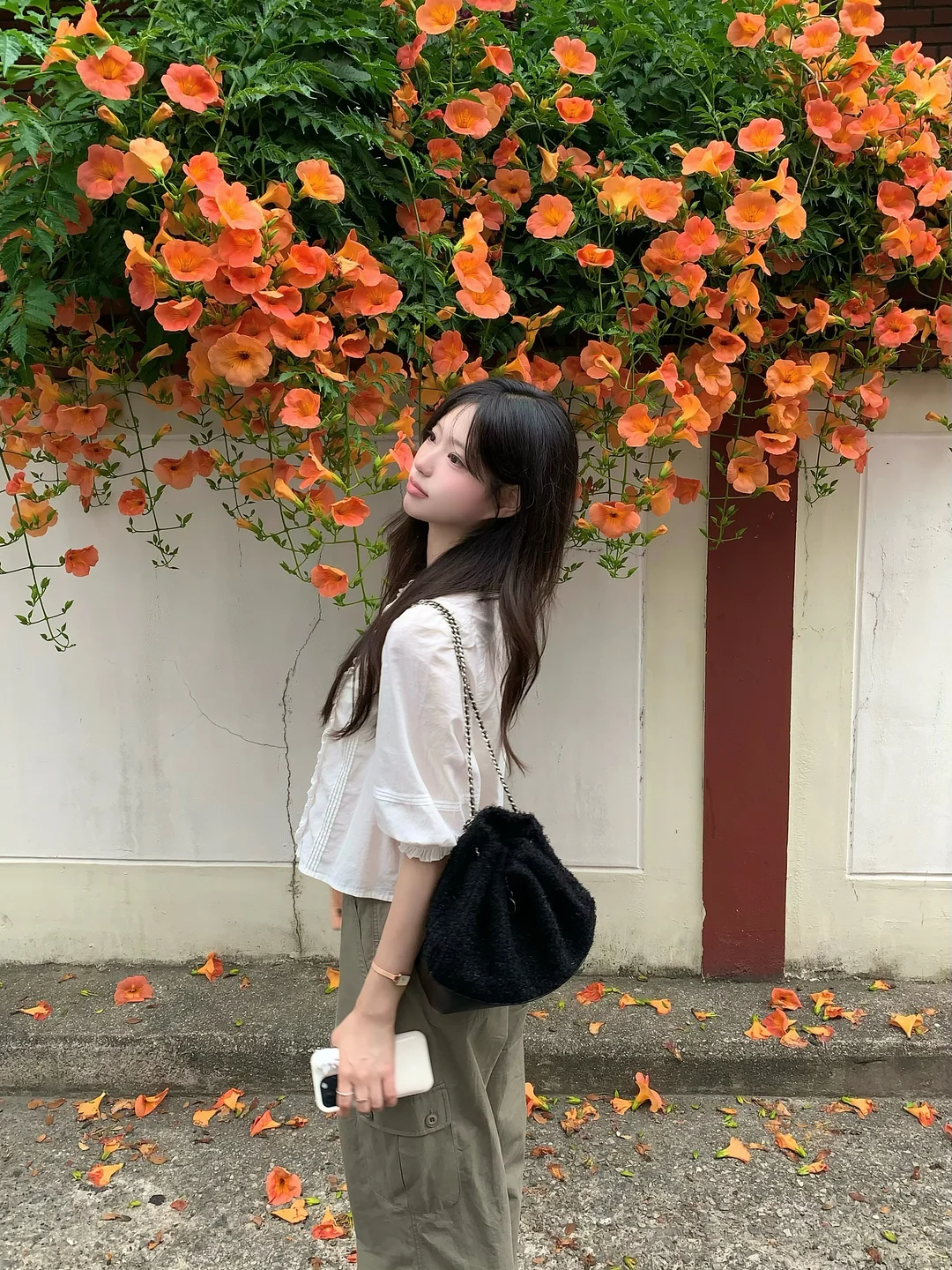 시모바시라 전통 사탕 5