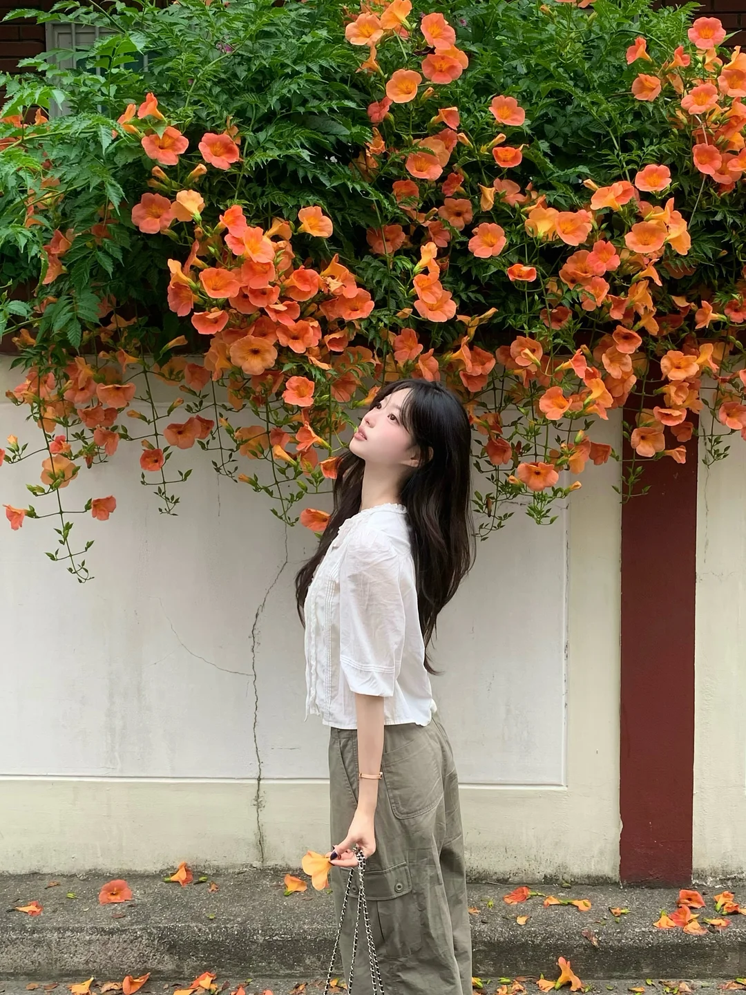 시모바시라 전통 사탕 6