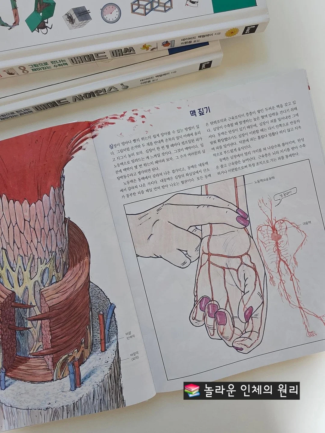 인디에어 실링팬 14