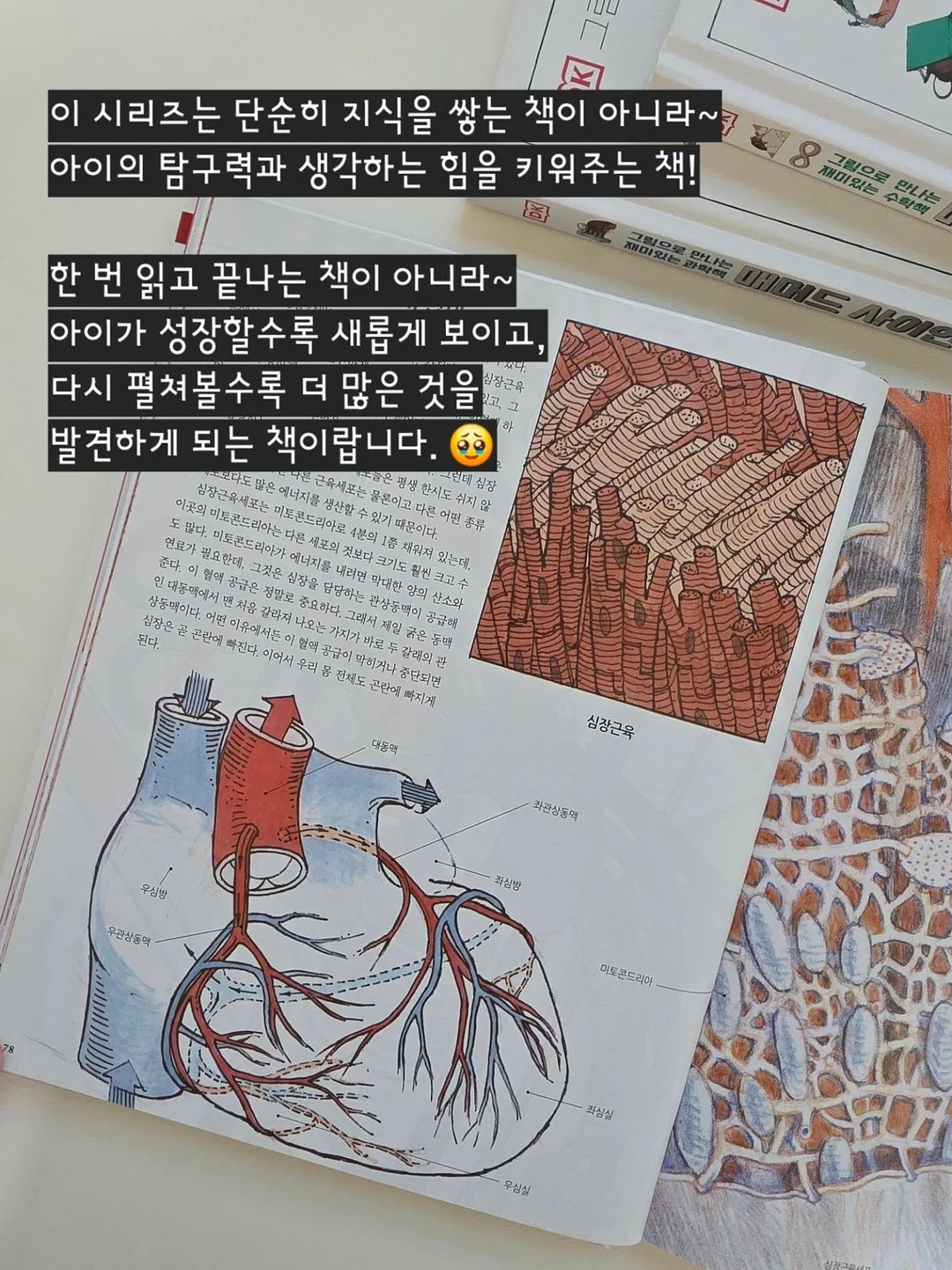인디에어 실링팬 16
