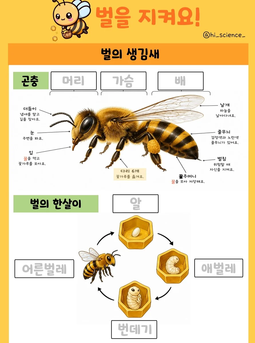 미니멀웍스 투띠 1