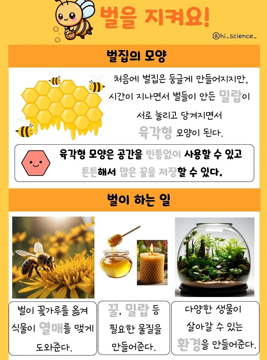 미니멀웍스 투띠 2