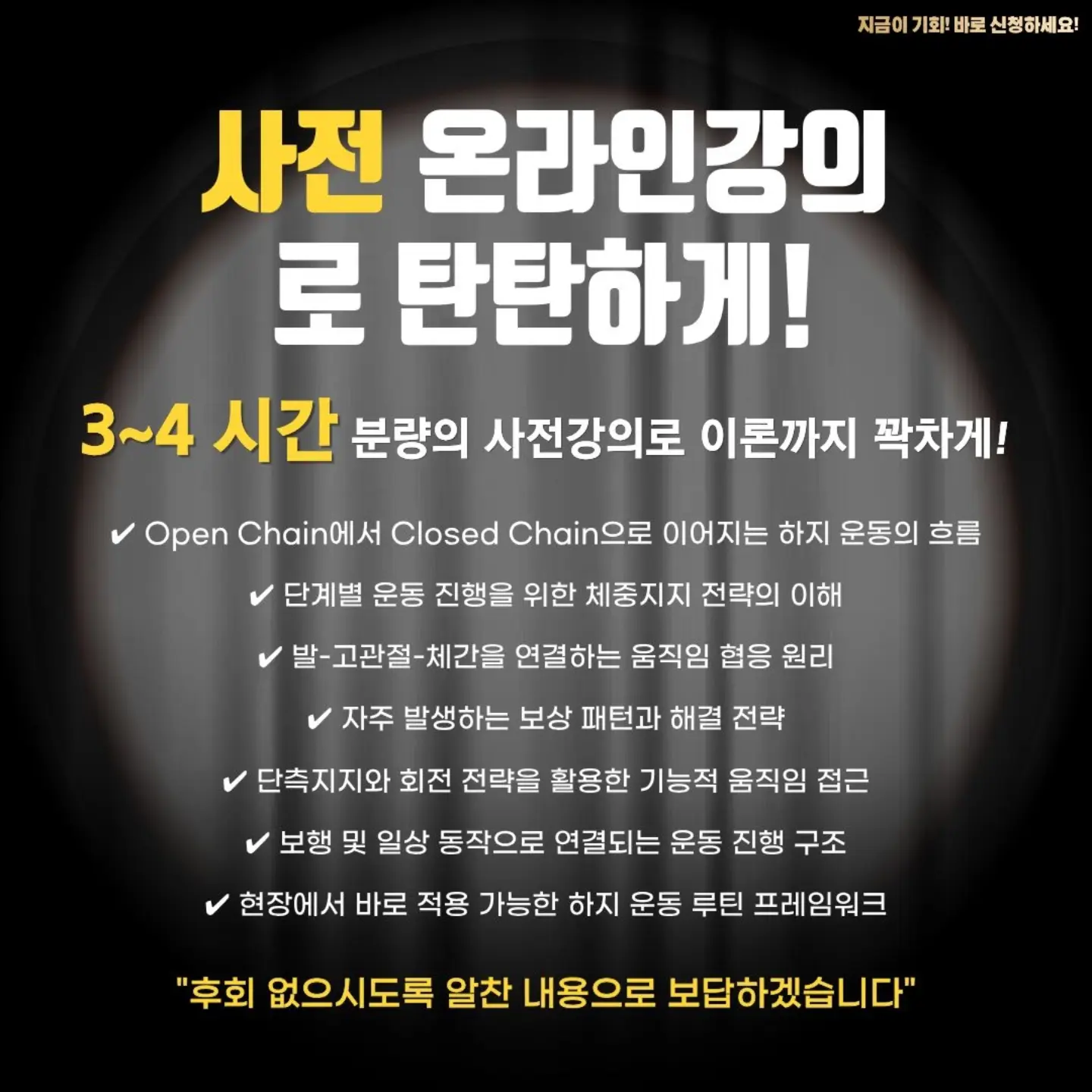 고유 데코 쿠션 11