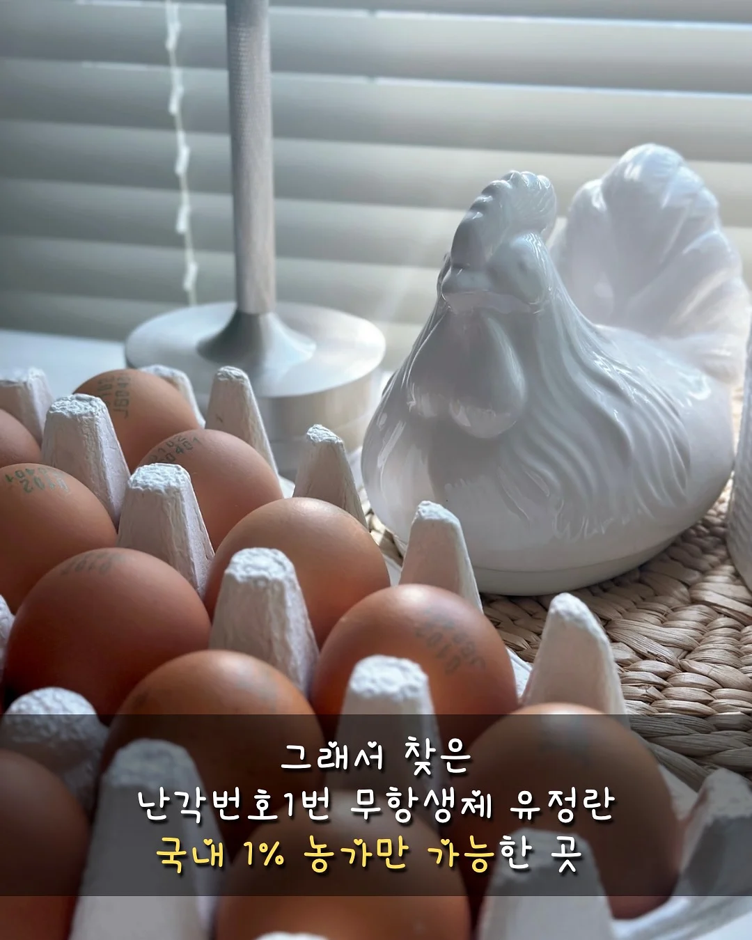 더말로지카 효소 파우더 4